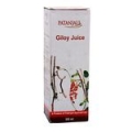  Patanjali juice - Giloy, 500 ml 